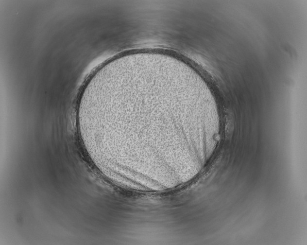 X0000111131358200907281042