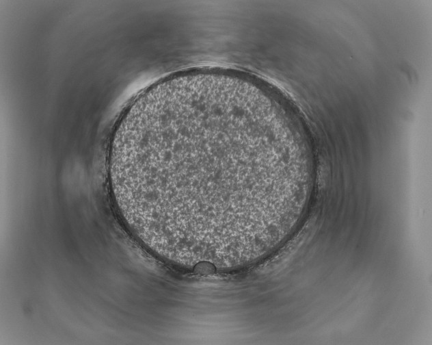 X0000111131359200907281042