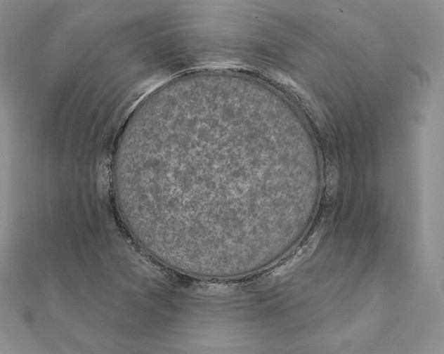 X0000111131361200907281042
