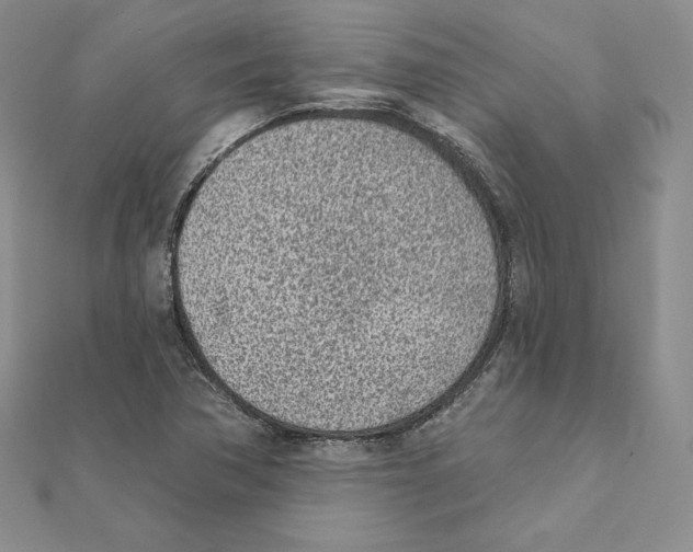X0000111131362200907281042
