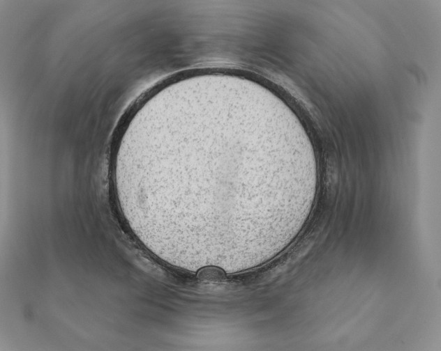 X0000111131364200907281042