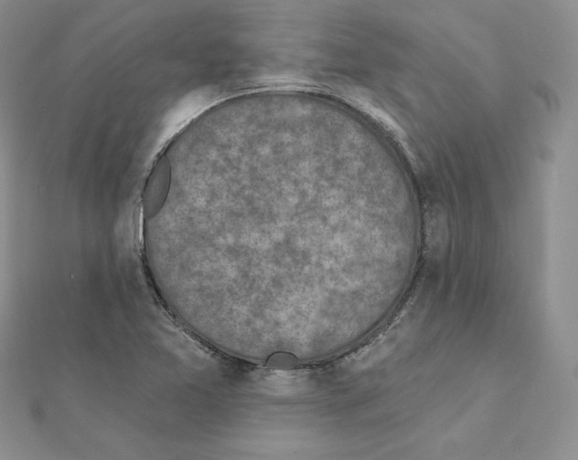 X0000111131365200907281042