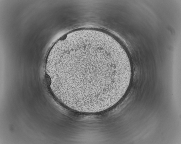 X0000111131367200907281042