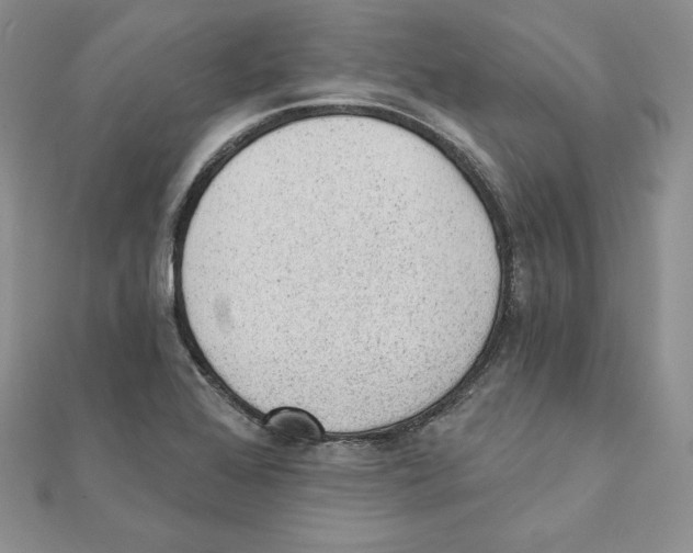 X0000111131368200907281042