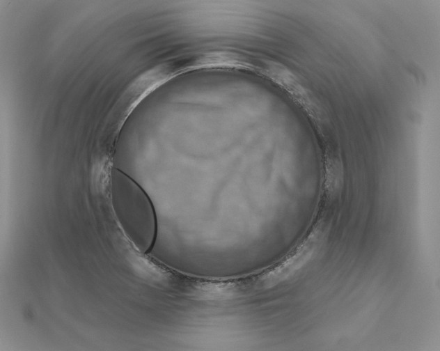 X0000111131369200907281042