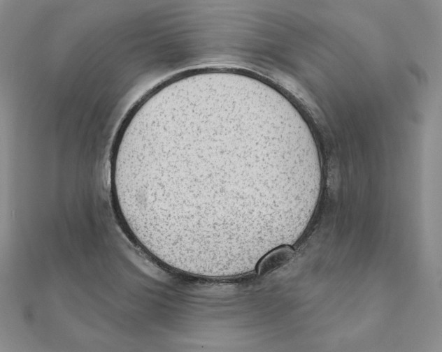 X0000111131372200907281042