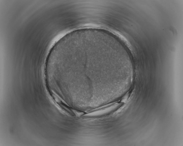 X0000111131373200907281042
