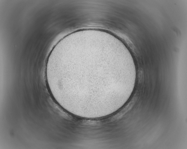 X0000111131374200907281042