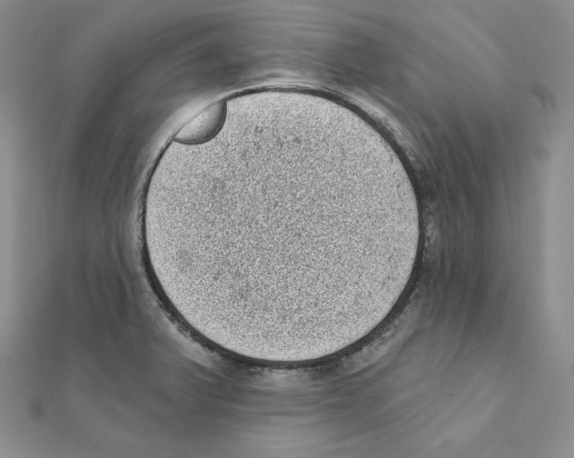 X0000111131375200907281042
