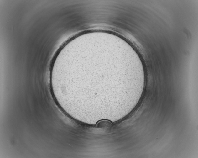 X0000111131376200907281042