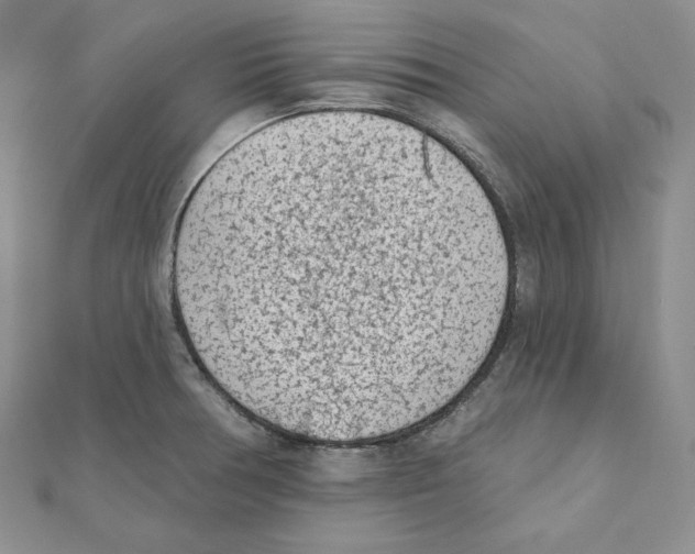 X0000111131378200907281041