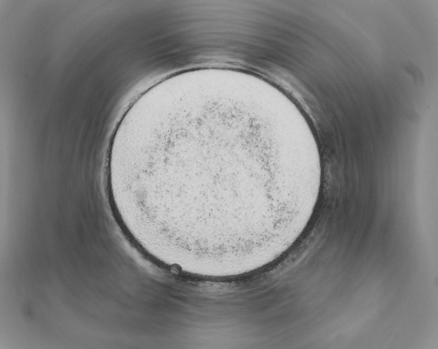 X0000111131379200907281041