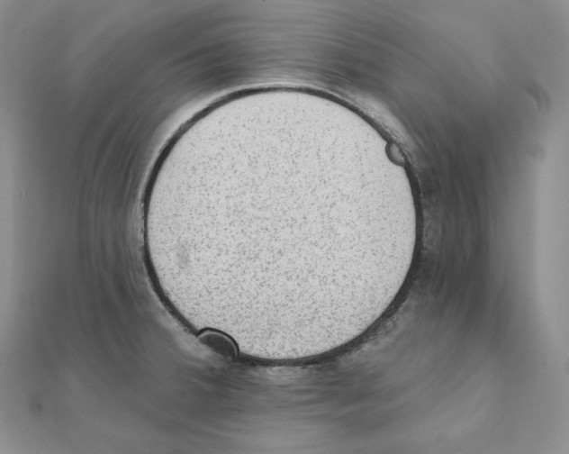 X0000111131380200907281041
