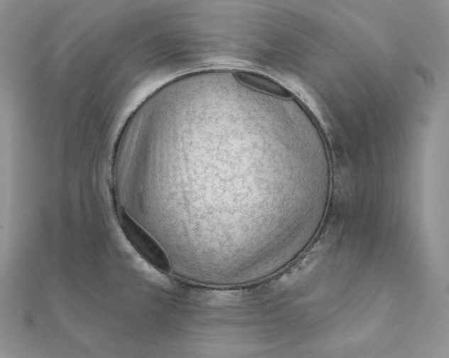 X0000111131381200907281041