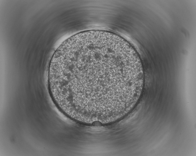 X0000111131383200907281041