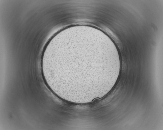 X0000111131384200907281041