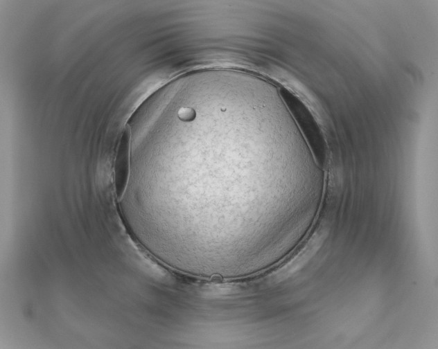 X0000111131385200907281041