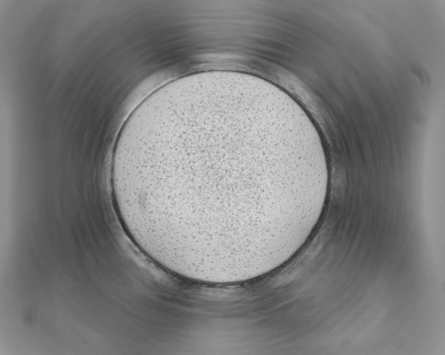 X0000111131386200907281041