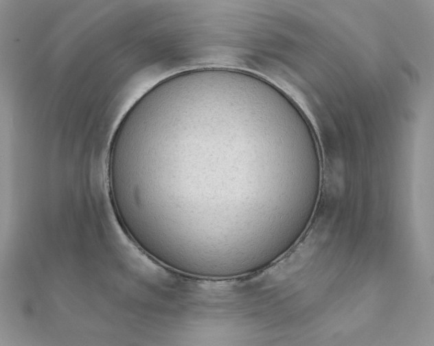 X0000111131389200907281041
