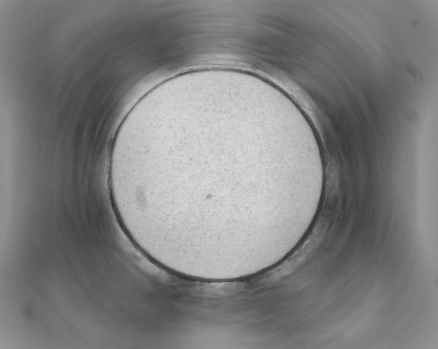 X0000111131390200907281041