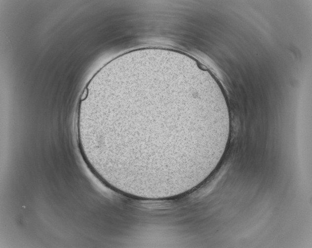 X0000111131391200907281041