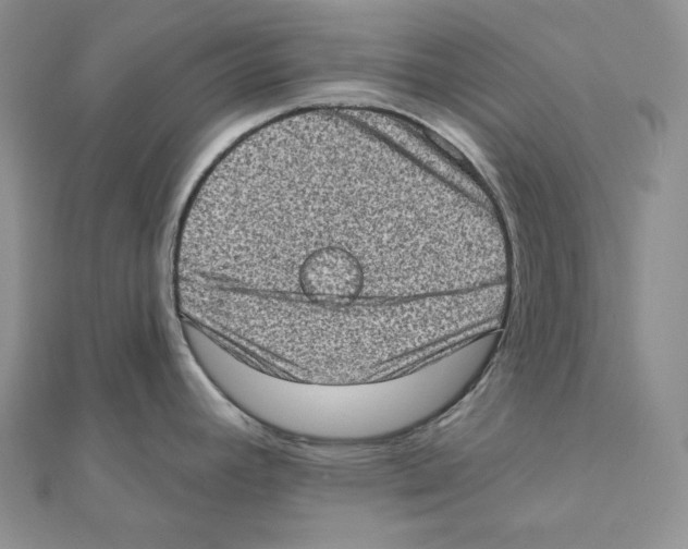 X0000111131392200907281041