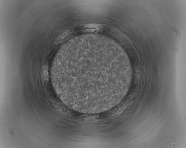 X0000111131394200907281041