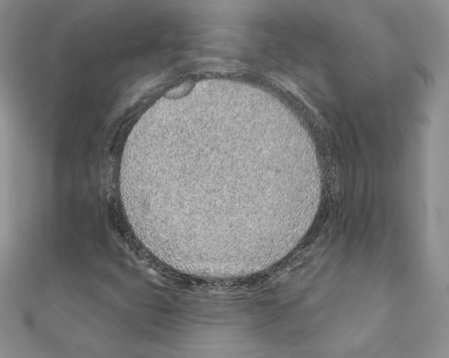 X0000111131399200907281041