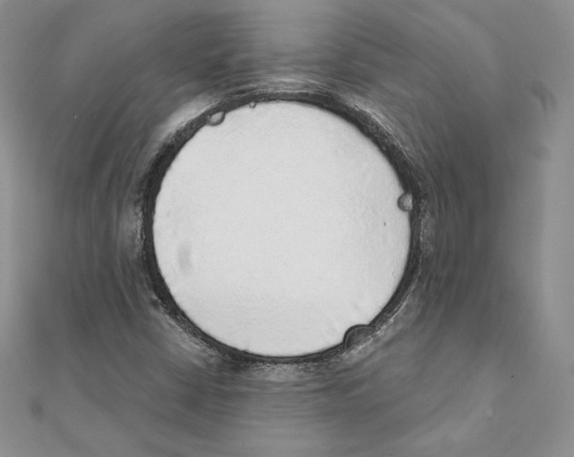 X0000111131402200907281041