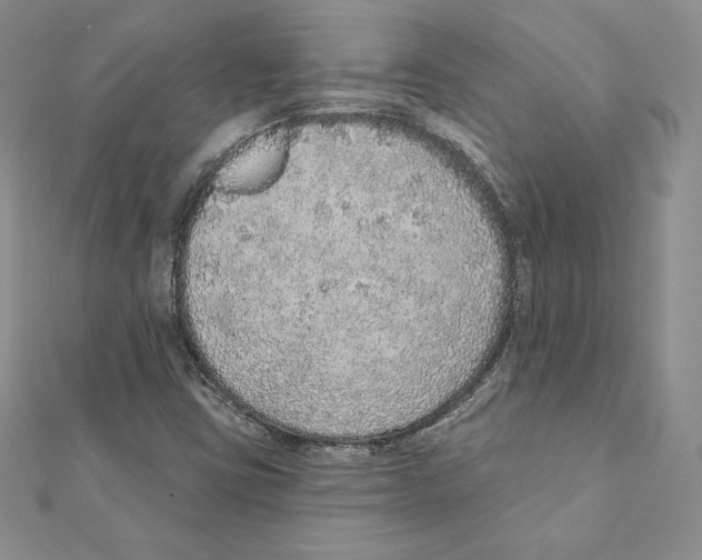 X0000111131403200907281041