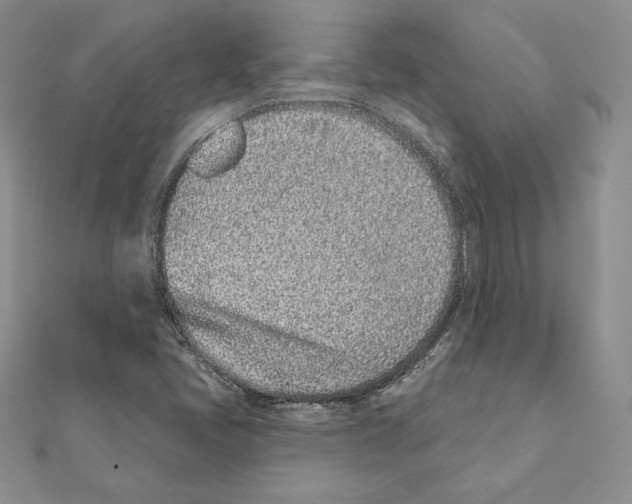 X0000111131405200907281041