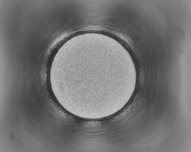 X0000111131406200907281041