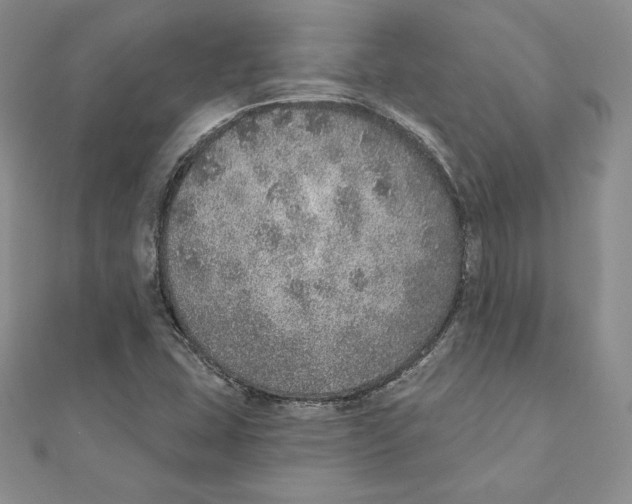 X0000111131407200907281041