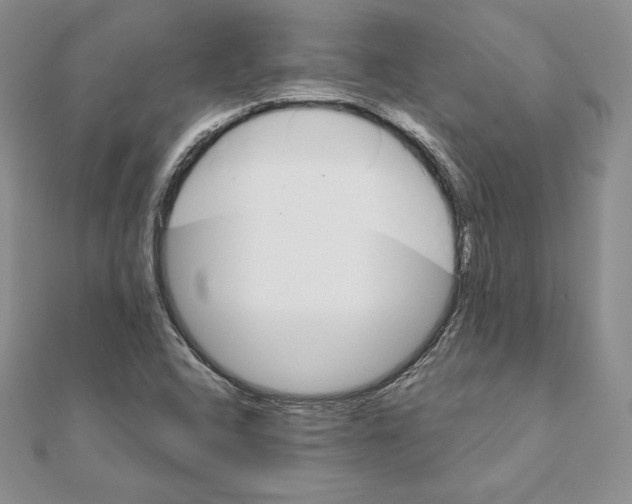 X0000111131408200907281041
