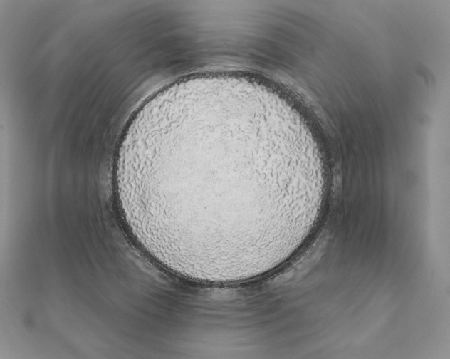 X0000111131409200907281041
