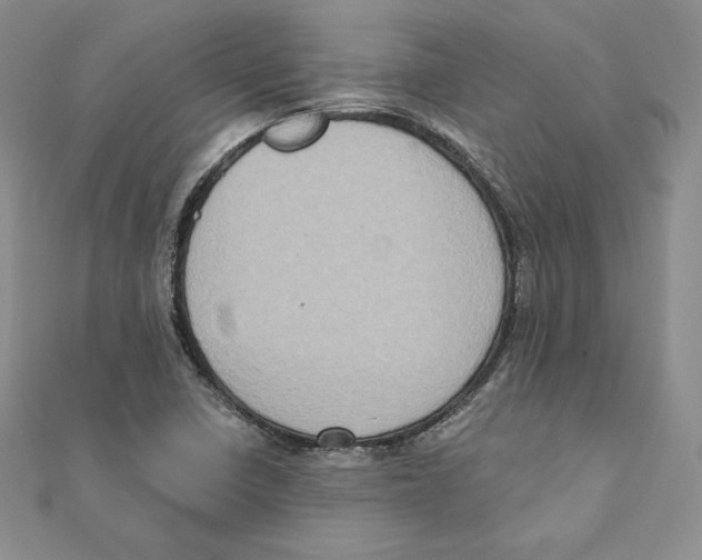 X0000111131410200907281041