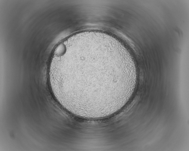 X0000111131411200907281041