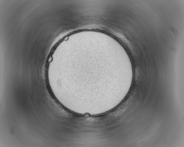 X0000111131412200907281041
