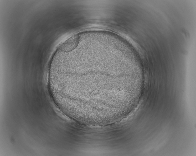 X0000111131413200907281041
