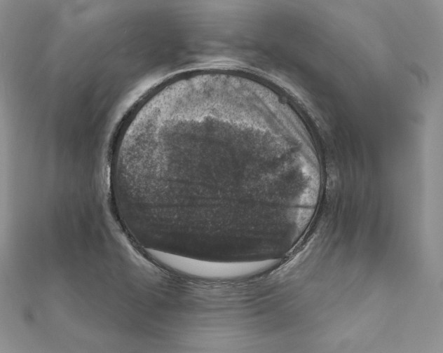 X0000111131414200907281041