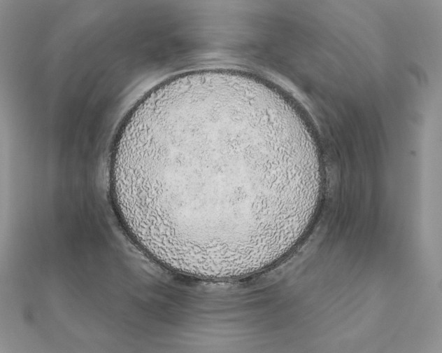 X0000111131415200907281041