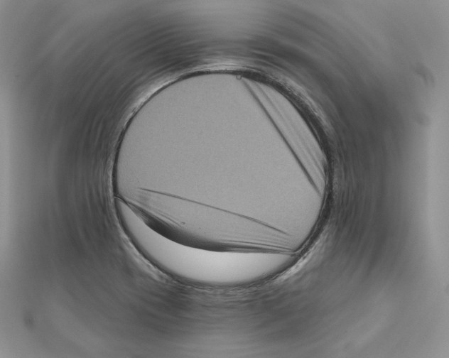 X0000111131417200907281041