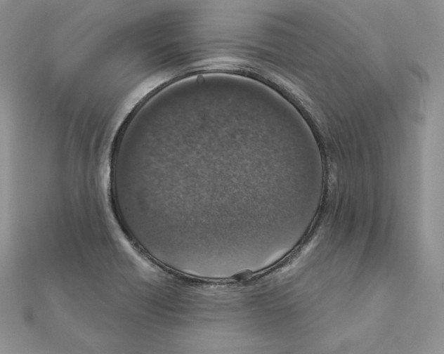 X0000111131418200907281041