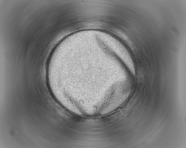 X0000111131419200907281041