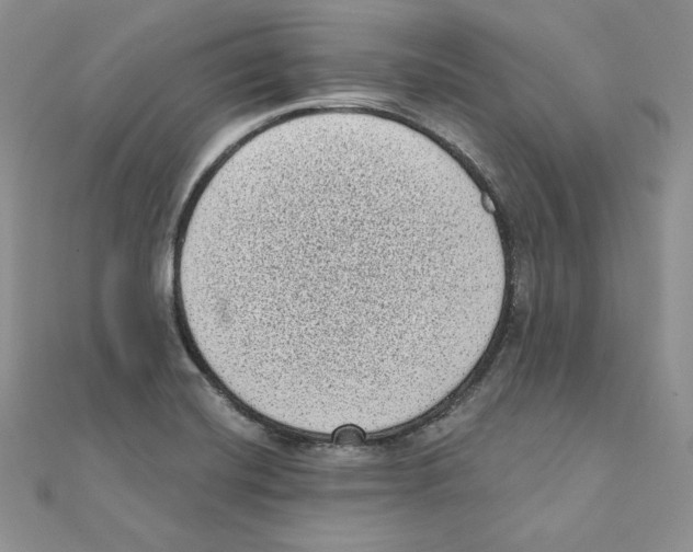 X0000111131420200907281041