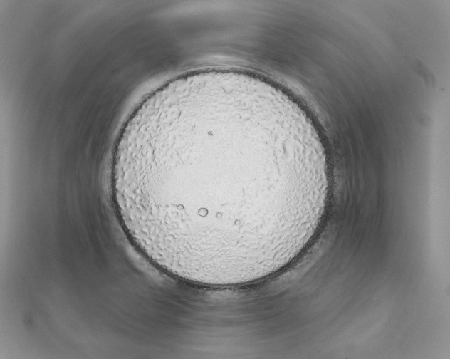X0000111131421200907281041