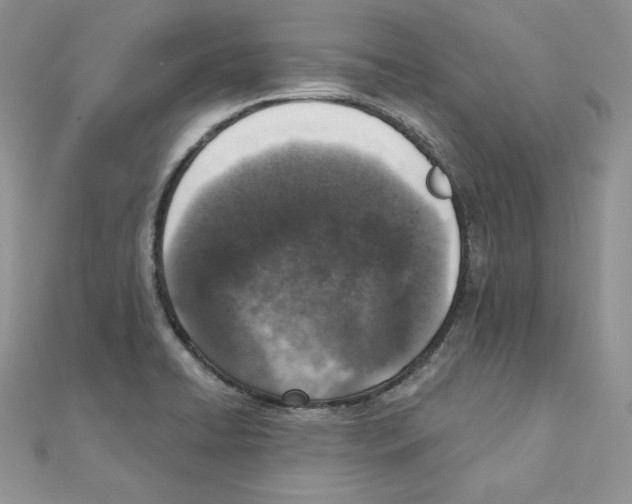 X0000111131422200907281041