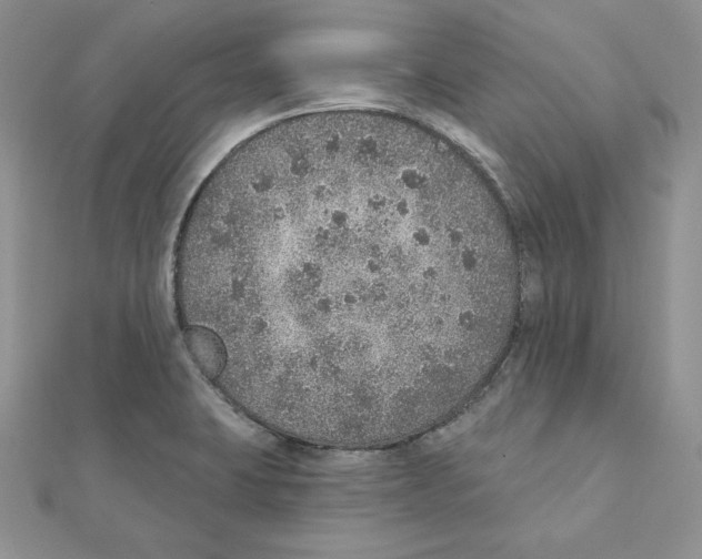 X0000111131423200907281041