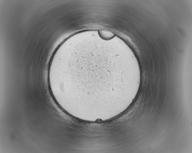 X0000111131424200907281041