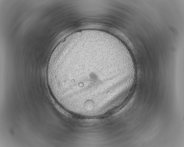 X0000111131425200907281041